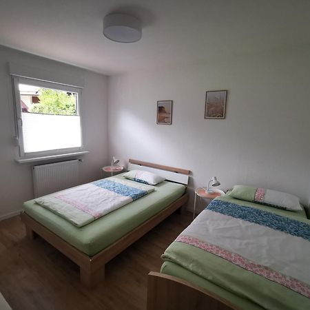 Ferienwohnung Blick Rappenstein Hausen am Tann エクステリア 写真