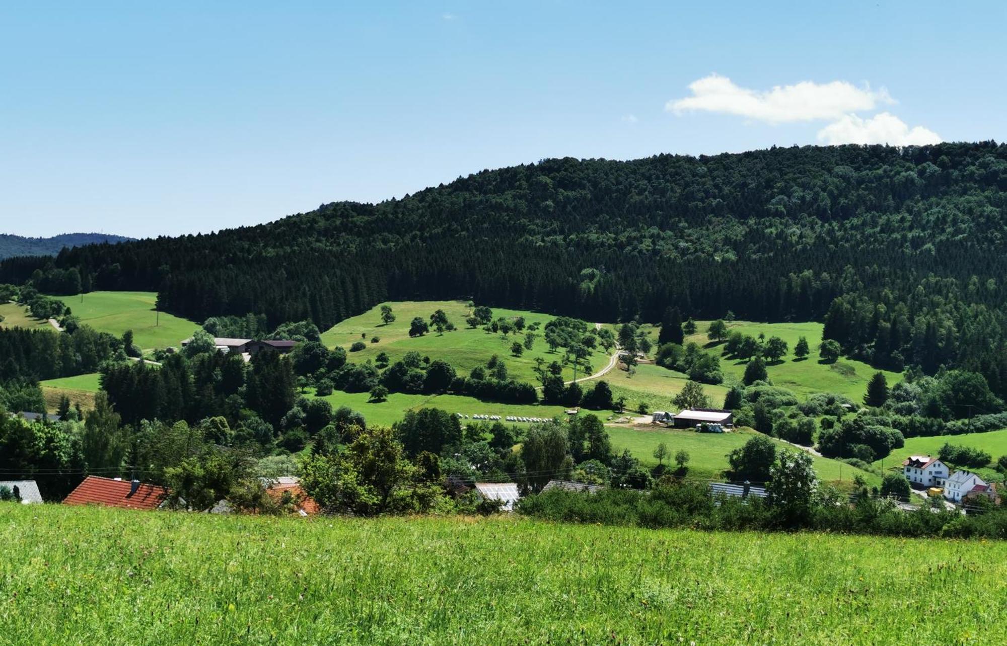 Ferienwohnung Blick Rappenstein Hausen am Tann エクステリア 写真