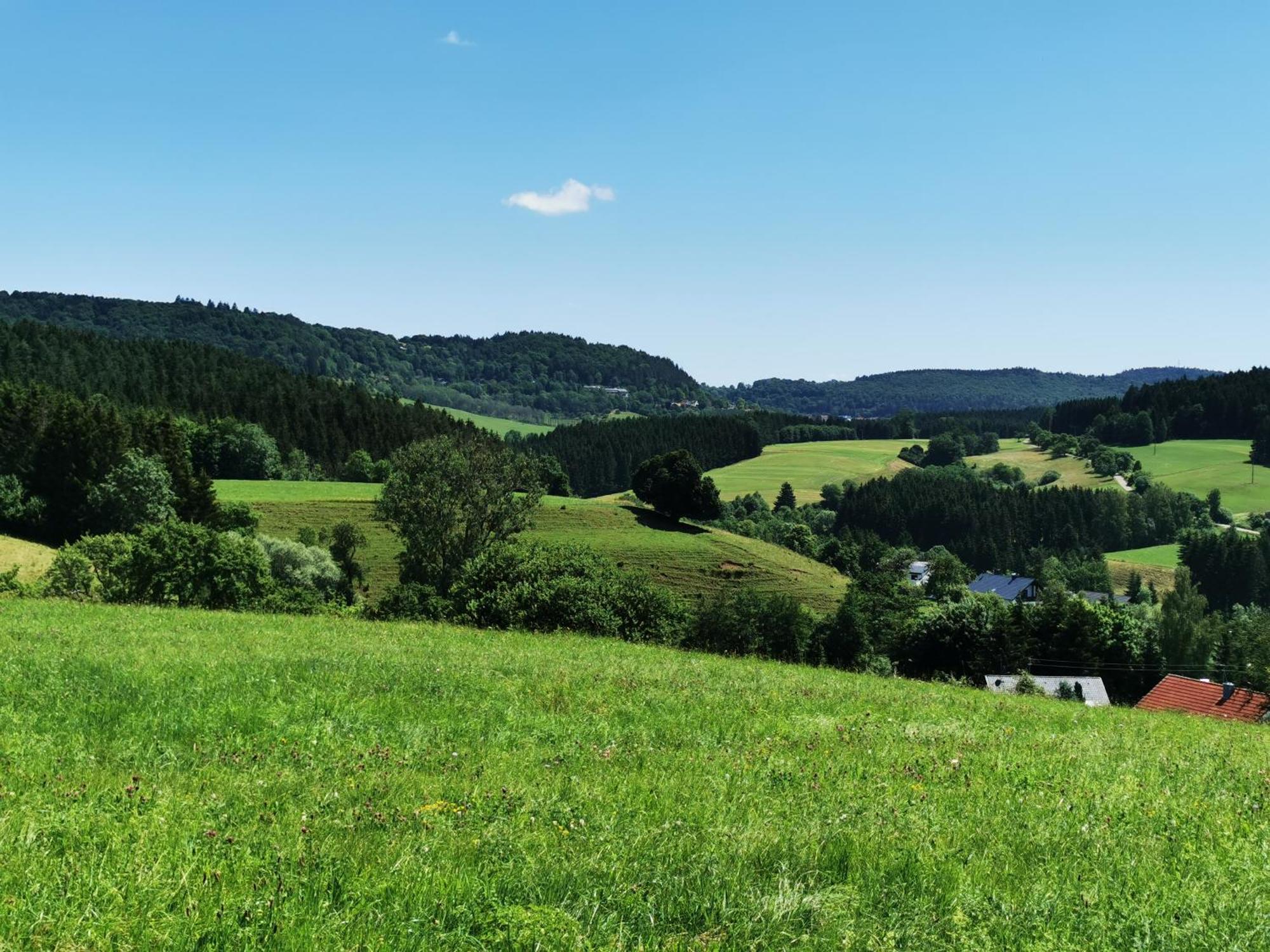 Ferienwohnung Blick Rappenstein Hausen am Tann エクステリア 写真